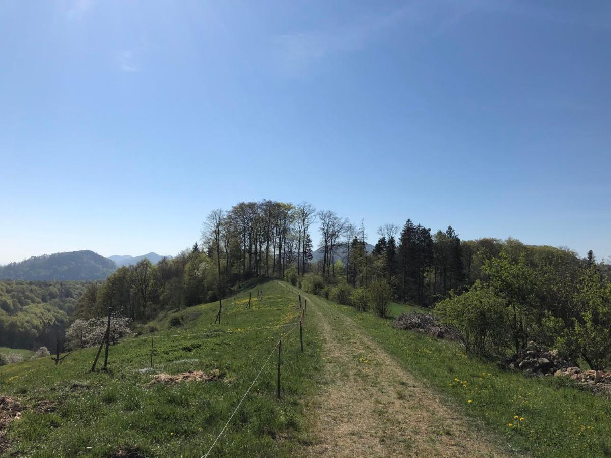 Gaestezimmer Erlinsbach Bei Aarau, Zwischen Aare Und Jura Niedererlinsbach エクステリア 写真